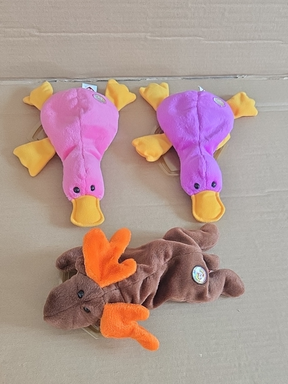 Beanie Babies - Chocolate And Patti (2 Varieties) - Official Club Items